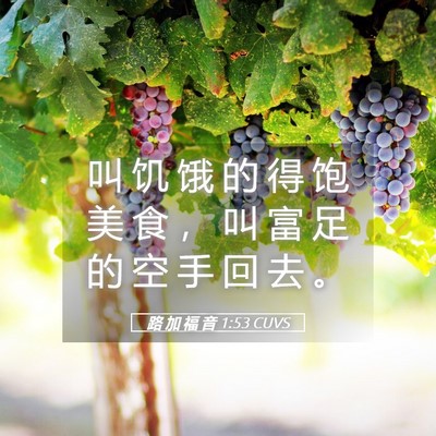 Picture 05 - 路 加 福 音 1:53 CUVS - 叫 饥 饿 的 得 饱 美 食 ， 叫 富 足 - Bible Verse Picture