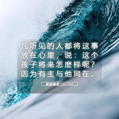 Picture 05 - 路 加 福 音 1:66 CUVS - 凡 听 见 的 人 都 将 这 事 放 在 心 - Bible Verse Picture