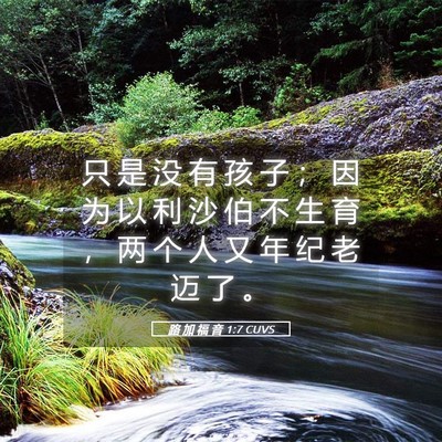 Picture 05 - 路 加 福 音 1:7 CUVS - 只 是 没 有 孩 子 ； 因 为 以 利 沙 - Bible Verse Picture