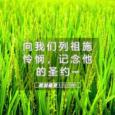 Picture 05 - 路 加 福 音 1:72 CUVS - 向 我 们 列 祖 施 怜 悯 ， 记 念 他 - Bible Verse Picture