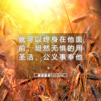Picture 05 - 路 加 福 音 1:75 CUVS - 就 可 以 终 身 在 他 面 前 ， 坦 然 - Bible Verse Picture