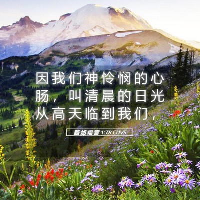 Picture 05 - 路 加 福 音 1:78 CUVS - 因 我 们 神 怜 悯 的 心 肠 ， 叫 清 - Bible Verse Picture