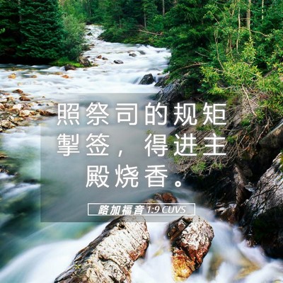 Picture 05 - 路 加 福 音 1:9 CUVS - 照 祭 司 的 规 矩 掣 签 ， 得 进 主 - Bible Verse Picture
