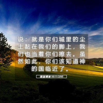 Picture 05 - 路 加 福 音 10:11 CUVS - 说 ： 就 是 你 们 城 里 的 尘 土 黏 - Bible Verse Picture