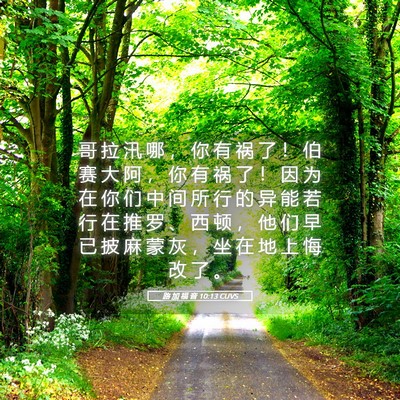 Picture 05 - 路 加 福 音 10:13 CUVS - 哥 拉 汛 哪 ， 你 有 祸 了 ！ 伯 赛 - Bible Verse Picture