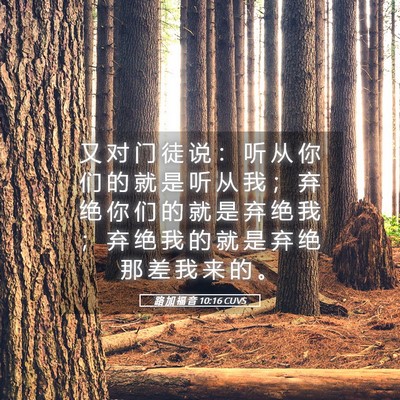 Picture 05 - 路 加 福 音 10:16 CUVS - 又 对 门 徒 说 ： 听 从 你 们 的 就 - Bible Verse Picture
