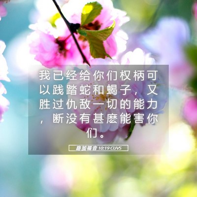 Picture 05 - 路 加 福 音 10:19 CUVS - 我 已 经 给 你 们 权 柄 可 以 践 踏 - Bible Verse Picture