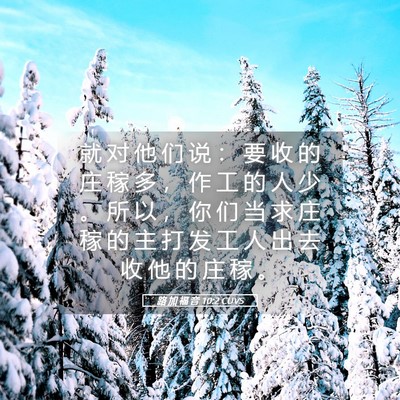 Picture 05 - 路 加 福 音 10:2 CUVS - 就 对 他 们 说 ： 要 收 的 庄 稼 多 - Bible Verse Picture