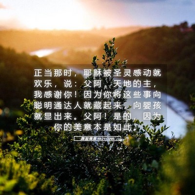 Picture 05 - 路 加 福 音 10:21 CUVS - 正 当 那 时 ， 耶 稣 被 圣 灵 感 动 - Bible Verse Picture