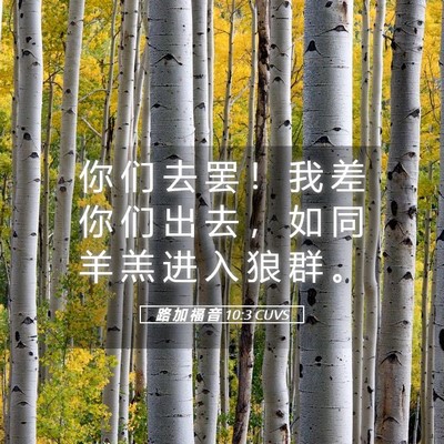 Picture 05 - 路 加 福 音 10:3 CUVS - 你 们 去 罢 ！ 我 差 你 们 出 去 ， - Bible Verse Picture