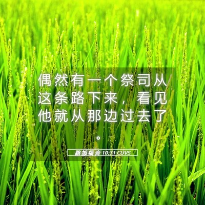 Picture 05 - 路 加 福 音 10:31 CUVS - 偶 然 有 一 个 祭 司 从 这 条 路 下 - Bible Verse Picture