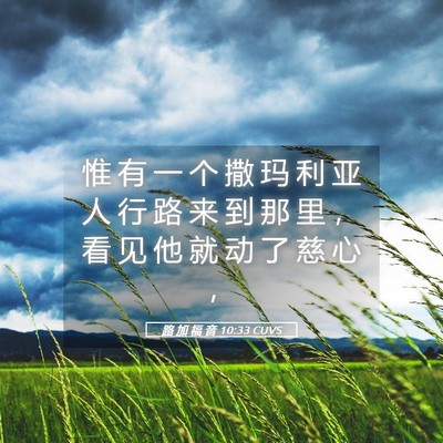 Picture 05 - 路 加 福 音 10:33 CUVS - 惟 有 一 个 撒 玛 利 亚 人 行 路 来 - Bible Verse Picture