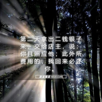 Picture 05 - 路 加 福 音 10:35 CUVS - 第 二 天 拿 出 二 钱 银 子 来 ， 交 - Bible Verse Picture