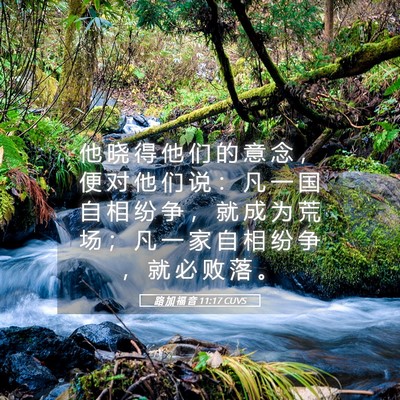Picture 05 - 路 加 福 音 11:17 CUVS - 他 晓 得 他 们 的 意 念 ， 便 对 他 - Bible Verse Picture