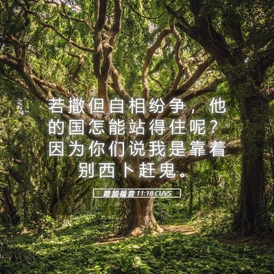 Picture 05 - 路 加 福 音 11:18 CUVS - 若 撒 但 自 相 纷 争 ， 他 的 国 怎 - Bible Verse Picture