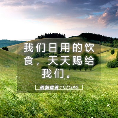 Picture 05 - 路 加 福 音 11:3 CUVS - 我 们 日 用 的 饮 食 ， 天 天 赐 给 - Bible Verse Picture