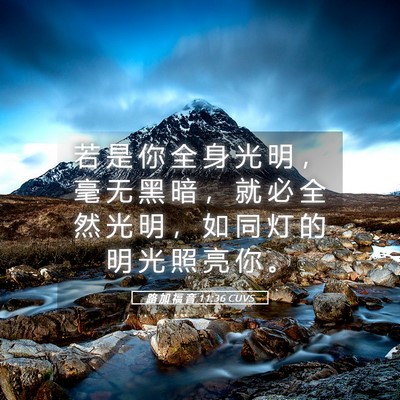 Picture 05 - 路 加 福 音 11:36 CUVS - 若 是 你 全 身 光 明 ， 毫 无 黑 暗 - Bible Verse Picture