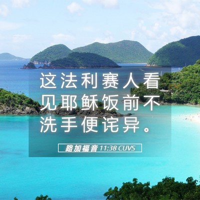Picture 05 - 路 加 福 音 11:38 CUVS - 这 法 利 赛 人 看 见 耶 稣 饭 前 不 - Bible Verse Picture
