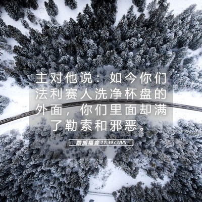Picture 05 - 路 加 福 音 11:39 CUVS - 主 对 他 说 ： 如 今 你 们 法 利 赛 - Bible Verse Picture