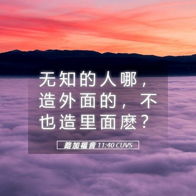 Picture 05 - 路 加 福 音 11:40 CUVS - 无 知 的 人 哪 ， 造 外 面 的 ， 不 - Bible Verse Picture