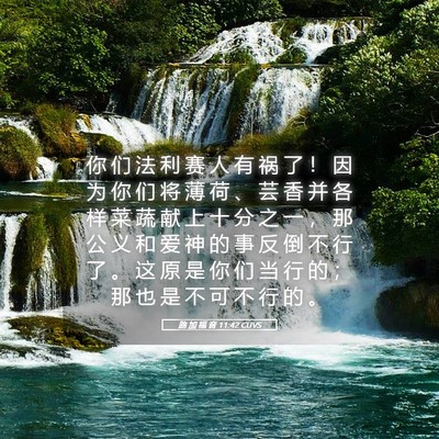 Picture 05 - 路 加 福 音 11:42 CUVS - 你 们 法 利 赛 人 有 祸 了 ！ 因 为 - Bible Verse Picture