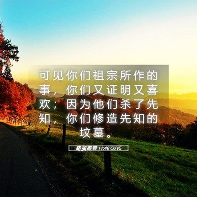 Picture 05 - 路 加 福 音 11:48 CUVS - 可 见 你 们 祖 宗 所 作 的 事 ， 你 - Bible Verse Picture