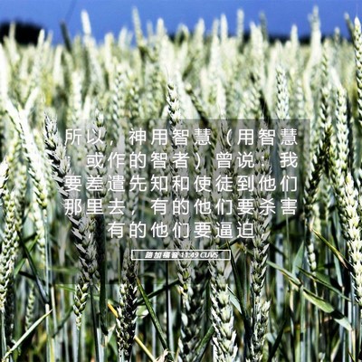Picture 05 - 路 加 福 音 11:49 CUVS - 所 以 ， 神 用 智 慧 （ 用 智 慧 ： - Bible Verse Picture