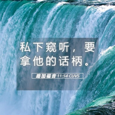Picture 05 - 路 加 福 音 11:54 CUVS - 私 下 窥 听 ， 要 拿 他 的 话 柄 - Bible Verse Picture