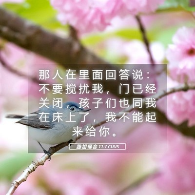 Picture 05 - 路 加 福 音 11:7 CUVS - 那 人 在 里 面 回 答 说 ： 不 要 搅 - Bible Verse Picture