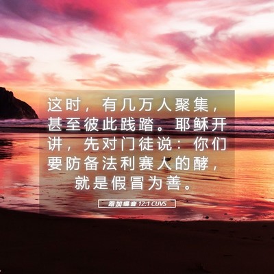 Picture 05 - 路 加 福 音 12:1 CUVS - 这 时 ， 有 几 万 人 聚 集 ， 甚 至 - Bible Verse Picture