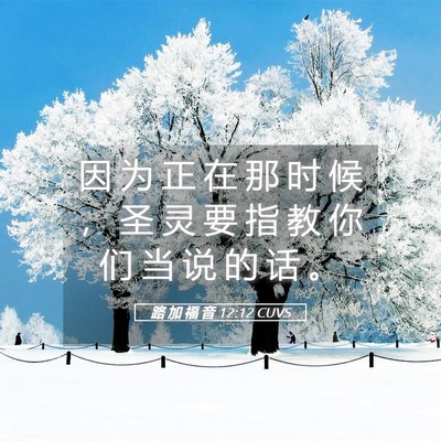 Picture 05 - 路 加 福 音 12:12 CUVS - 因 为 正 在 那 时 候 ， 圣 灵 要 指 - Bible Verse Picture