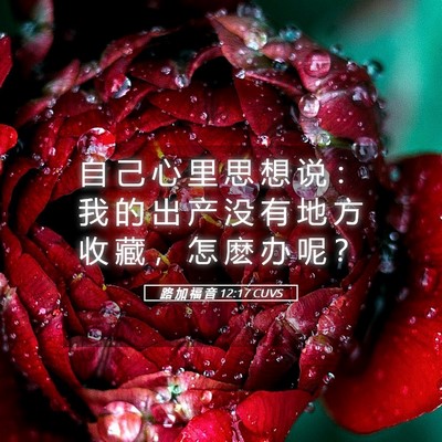 Picture 05 - 路 加 福 音 12:17 CUVS - 自 己 心 里 思 想 说 ： 我 的 出 产 - Bible Verse Picture