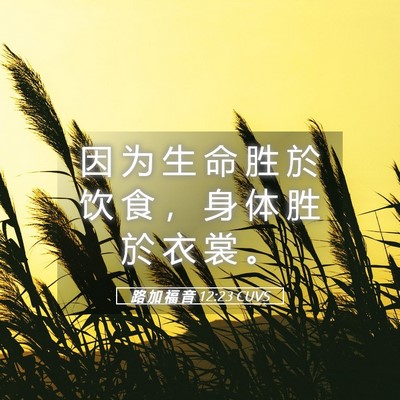 Picture 05 - 路 加 福 音 12:23 CUVS - 因 为 生 命 胜 於 饮 食 ， 身 体 胜 - Bible Verse Picture