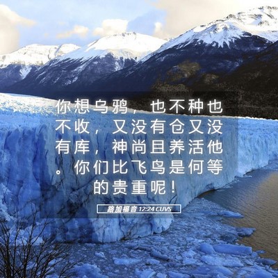 Picture 05 - 路 加 福 音 12:24 CUVS - 你 想 乌 鸦 ， 也 不 种 也 不 收 ， - Bible Verse Picture