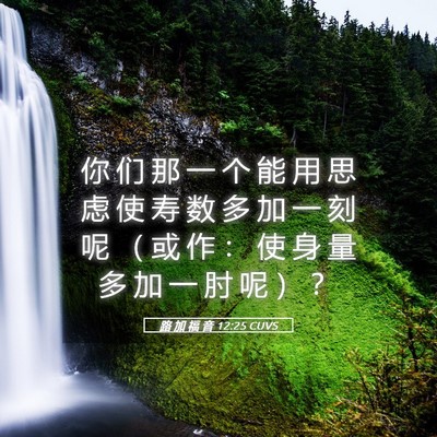 Picture 05 - 路 加 福 音 12:25 CUVS - 你 们 那 一 个 能 用 思 虑 使 寿 数 - Bible Verse Picture