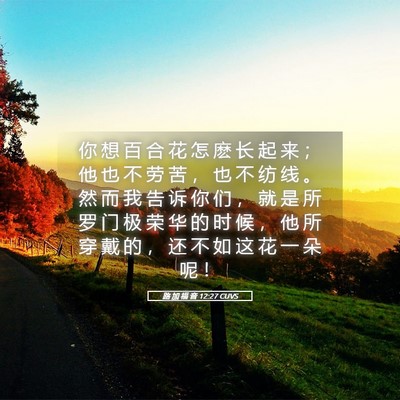 Picture 05 - 路 加 福 音 12:27 CUVS - 你 想 百 合 花 怎 麽 长 起 来 ； 他 - Bible Verse Picture