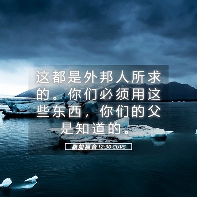 Picture 05 - 路 加 福 音 12:30 CUVS - 这 都 是 外 邦 人 所 求 的 。 你 们 - Bible Verse Picture