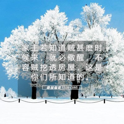 Picture 05 - 路 加 福 音 12:39 CUVS - 家 主 若 知 道 贼 甚 麽 时 候 来 ， - Bible Verse Picture
