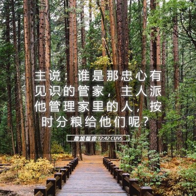 Picture 05 - 路 加 福 音 12:42 CUVS - 主 说 ： 谁 是 那 忠 心 有 见 识 的 - Bible Verse Picture