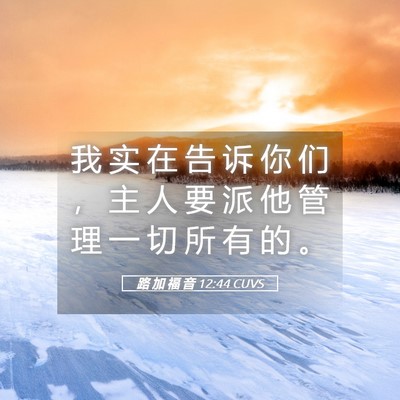Picture 05 - 路 加 福 音 12:44 CUVS - 我 实 在 告 诉 你 们 ， 主 人 要 派 - Bible Verse Picture