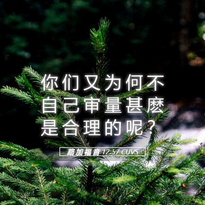 Picture 05 - 路 加 福 音 12:57 CUVS - 你 们 又 为 何 不 自 己 审 量 甚 麽 - Bible Verse Picture