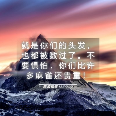 Picture 05 - 路 加 福 音 12:7 CUVS - 就 是 你 们 的 头 发 ， 也 都 被 数 - Bible Verse Picture