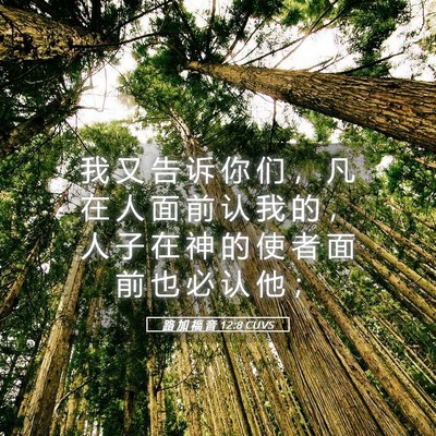 Picture 05 - 路 加 福 音 12:8 CUVS - 我 又 告 诉 你 们 ， 凡 在 人 面 前 - Bible Verse Picture