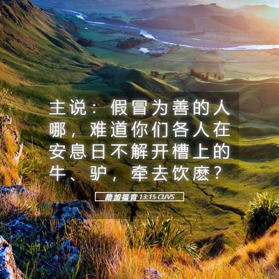 Picture 05 - 路 加 福 音 13:15 CUVS - 主 说 ： 假 冒 为 善 的 人 哪 ， 难 - Bible Verse Picture