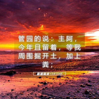 Picture 05 - 路 加 福 音 13:8 CUVS - 管 园 的 说 ： 主 阿 ， 今 年 且 留 - Bible Verse Picture
