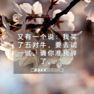 Picture 05 - 路 加 福 音 14:19 CUVS - 又 有 一 个 说 ： 我 买 了 五 对 牛 - Bible Verse Picture