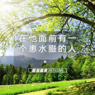 Picture 05 - 路 加 福 音 14:2 CUVS - 在 他 面 前 有 一 个 患 水 臌 的 人 - Bible Verse Picture