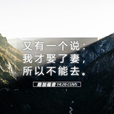 Picture 05 - 路 加 福 音 14:20 CUVS - 又 有 一 个 说 ： 我 才 娶 了 妻 ， - Bible Verse Picture