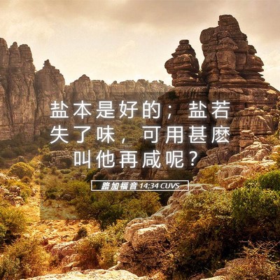 Picture 05 - 路 加 福 音 14:34 CUVS - 盐 本 是 好 的 ； 盐 若 失 了 味 ， - Bible Verse Picture