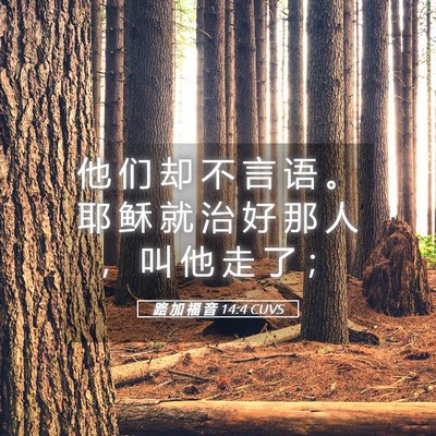 Picture 05 - 路 加 福 音 14:4 CUVS - 他 们 却 不 言 语 。 耶 稣 就 治 好 - Bible Verse Picture